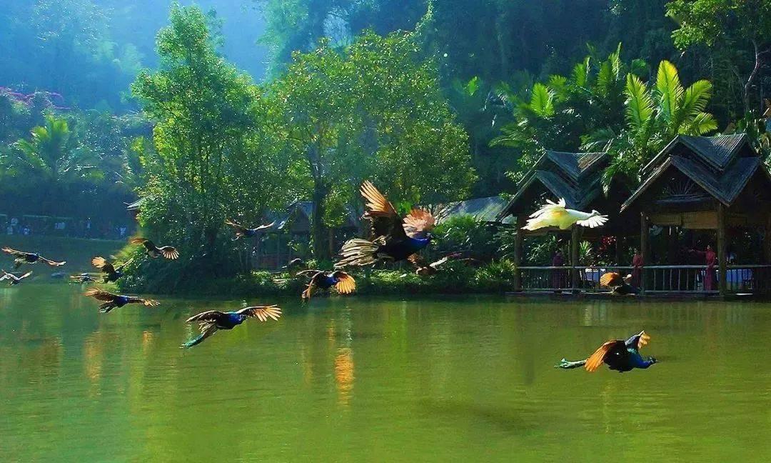 亚姐之最:历年亚姐的辉煌时刻